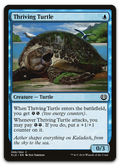 Product image for TCG 122737