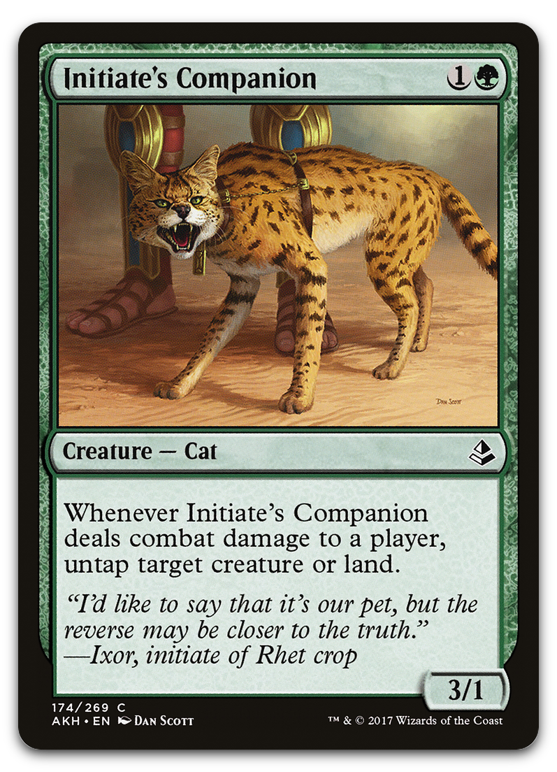 Product image for TCG 130238