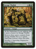 Product image for TCG 14347