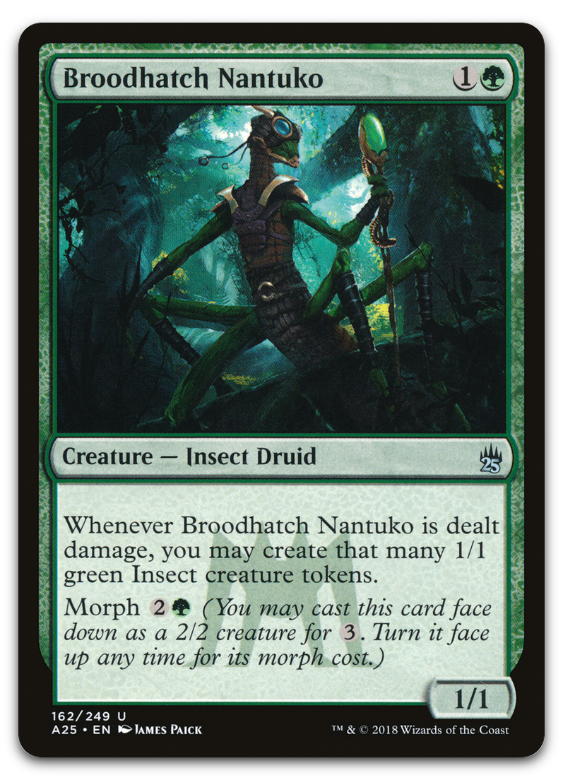 Product image for TCG 161856