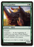 Product image for TCG 170960