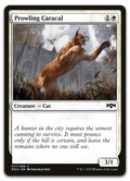 Product image for TCG 183381