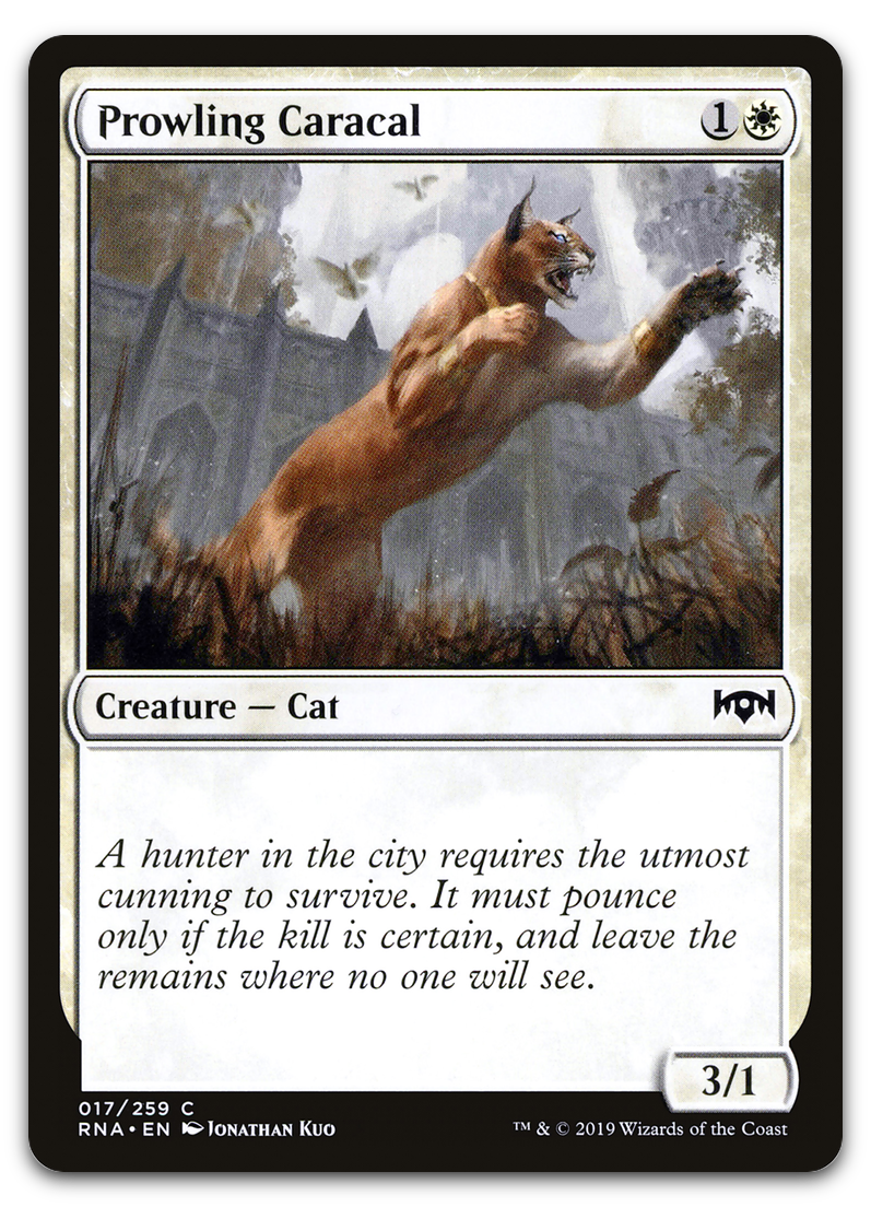 Product image for TCG 183381