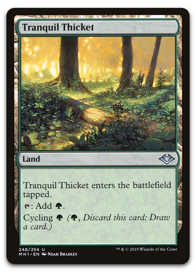 Product image for TCG 191289
