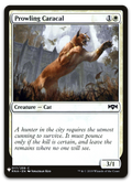 Product image for TCG 203268