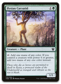 Product image for TCG 207178
