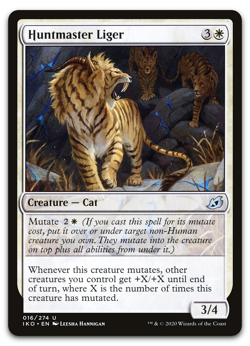 Product image for TCG 211999