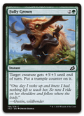 Product image for TCG 212013