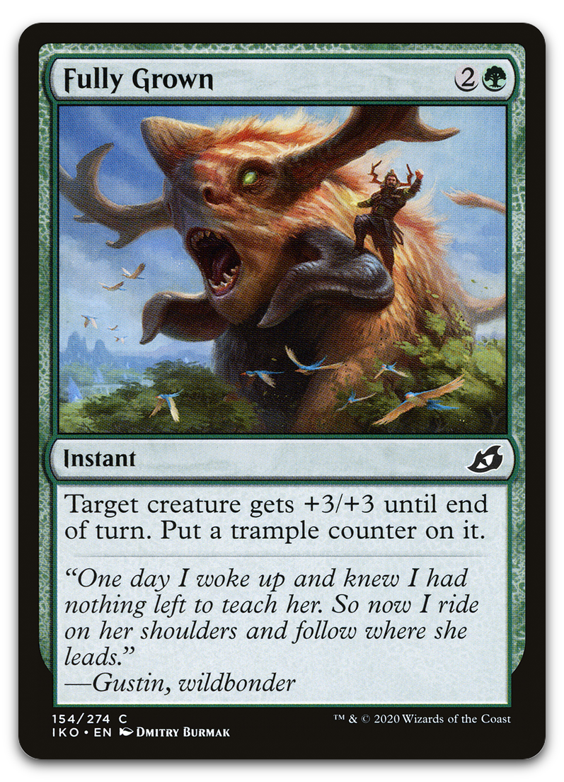Product image for TCG 212013