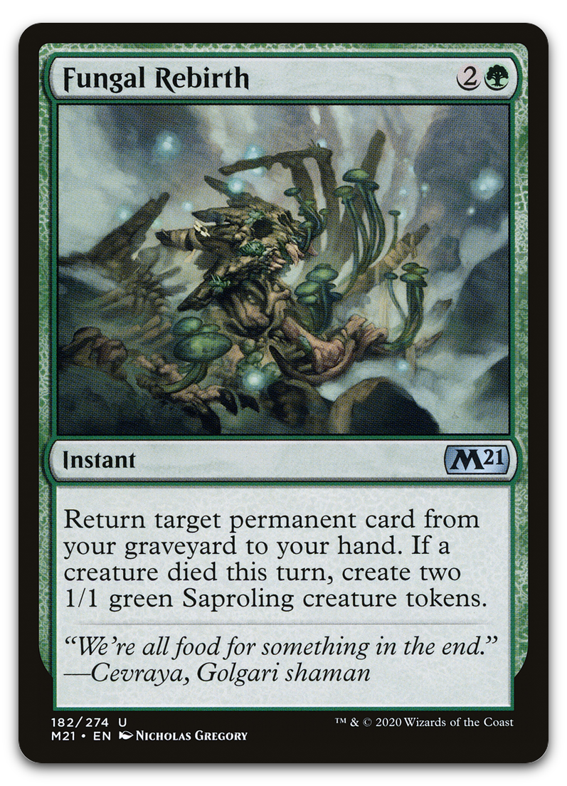 Product image for TCG 215473