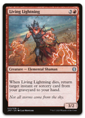 Product image for TCG 216102