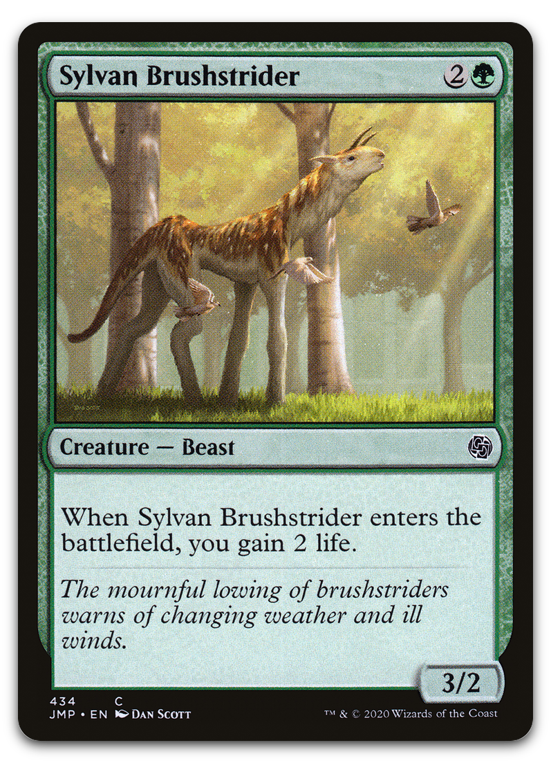 Product image for TCG 216122