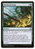 Product image for TCG 221963