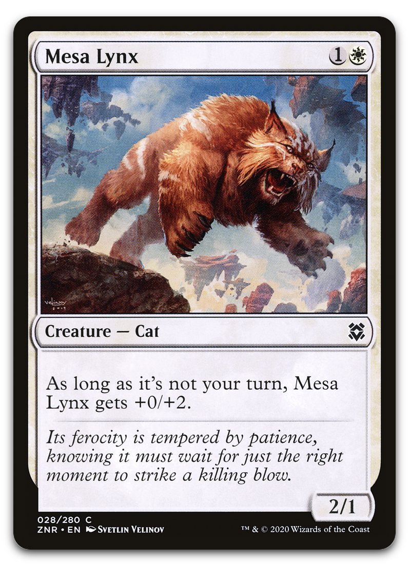 Product image for TCG 222087