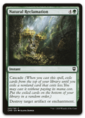 Product image for TCG 226466