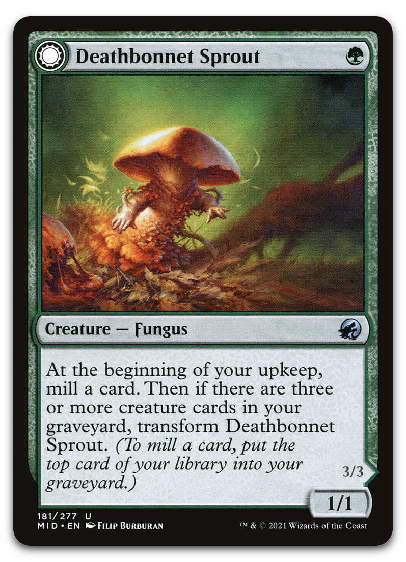 Product image for TCG 248223