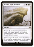 Product image for TCG 272915