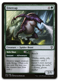 Product image for TCG 273335