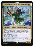 Product image for TCG 282893