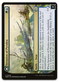 Product image for TCG 491208