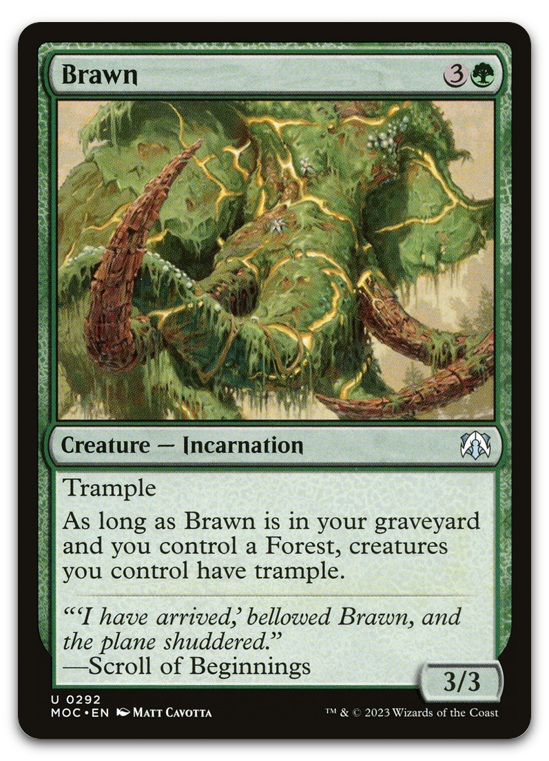 Product image for TCG 491582