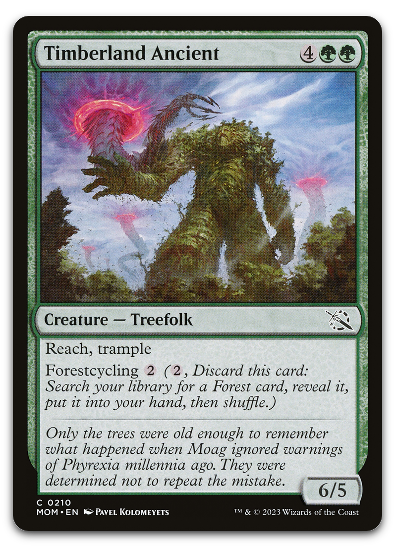 Product image for TCG 491718