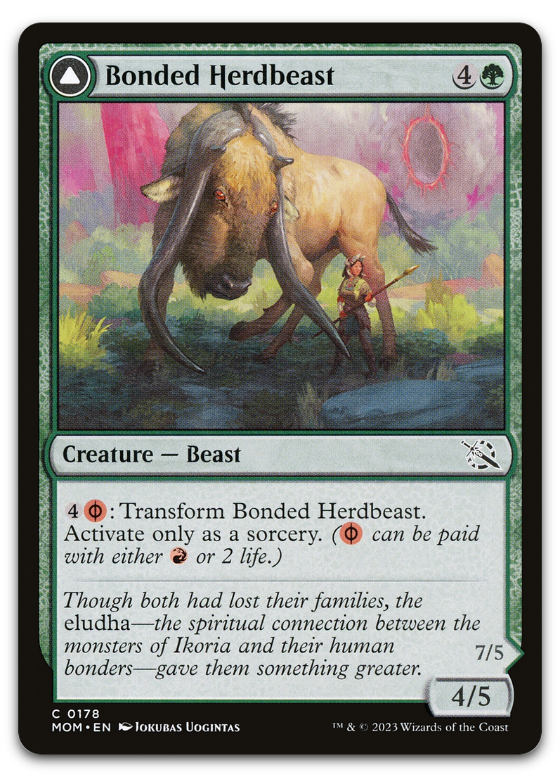 Product image for TCG 492056