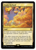 Product image for TCG 499569