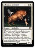 Product image for TCG 513628
