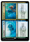 Product image for TCG 531037