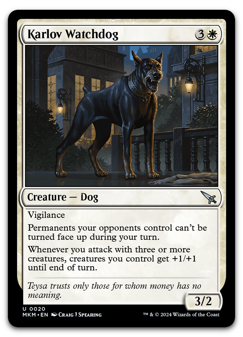 Product image for TCG 534125