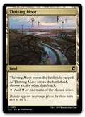 Product image for TCG 534611