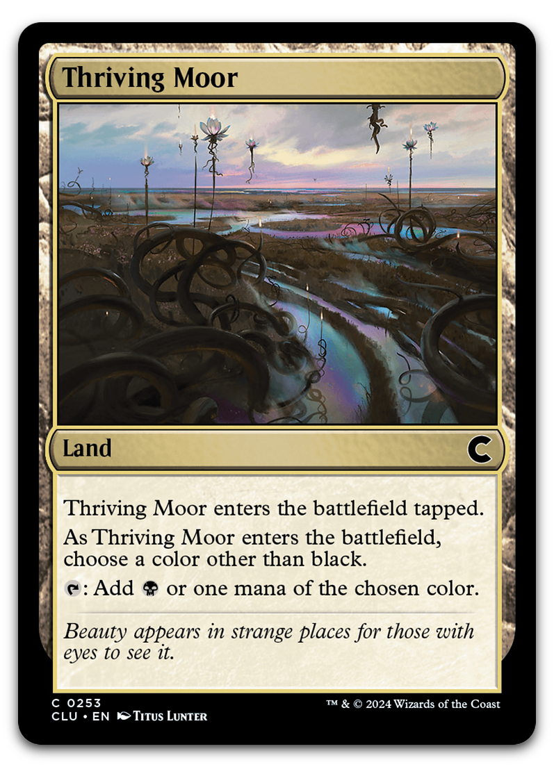 Product image for TCG 534611