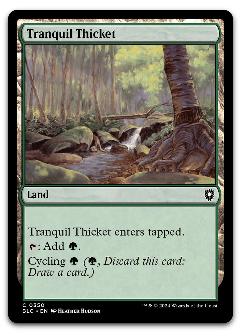 Product image for TCG 559970
