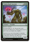 Product image for TCG 583299