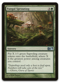Product image for TCG 59902
