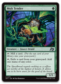 Product image for TCG 615039