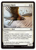 Product image for TCG 624065