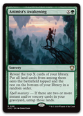 Product image for TCG 687470