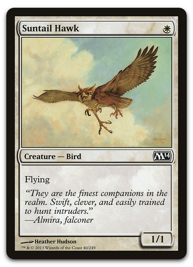 Product image for TCG 69955